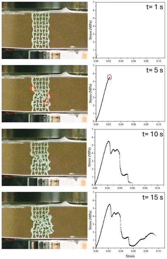 SanchezHerencia's tweet photo. Our last paper @Materials_Mdpi  "Design and Characterization of 3D Printed Auxetic PLA-HA Composite Scaffolds for Biomedical Application" https://t.co/6mnYL7Q8UB. We have been able to record impressive videos like this one https://t.co/O23sl1ayeT https://t.co/2AYe6ltYiG
