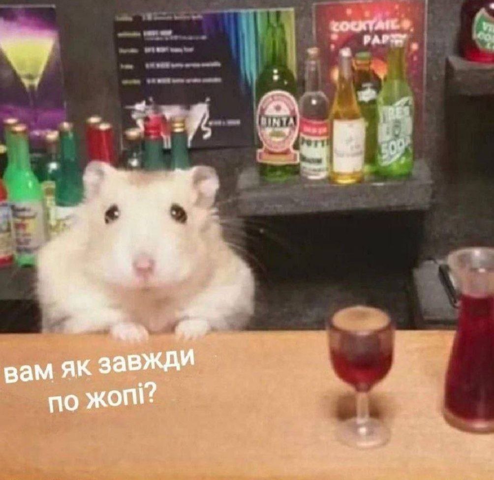 о_Ольга tweet media