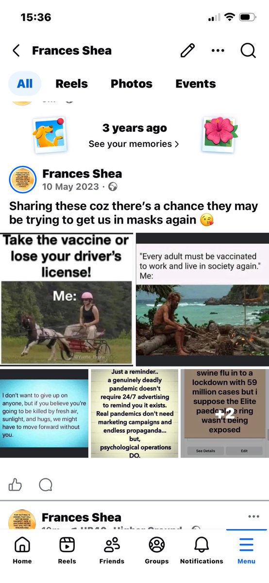 Frances Shea tweet media