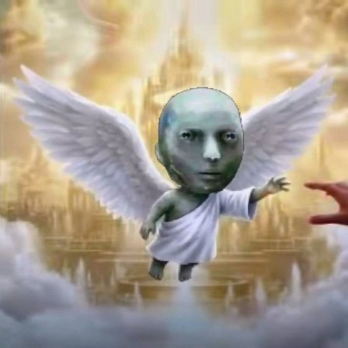 Scimmia🦧 tweet media