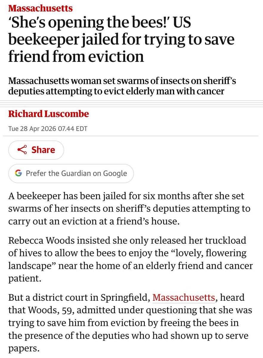 DEI speedwagon🌹🇵🇸 〽️ tweet media