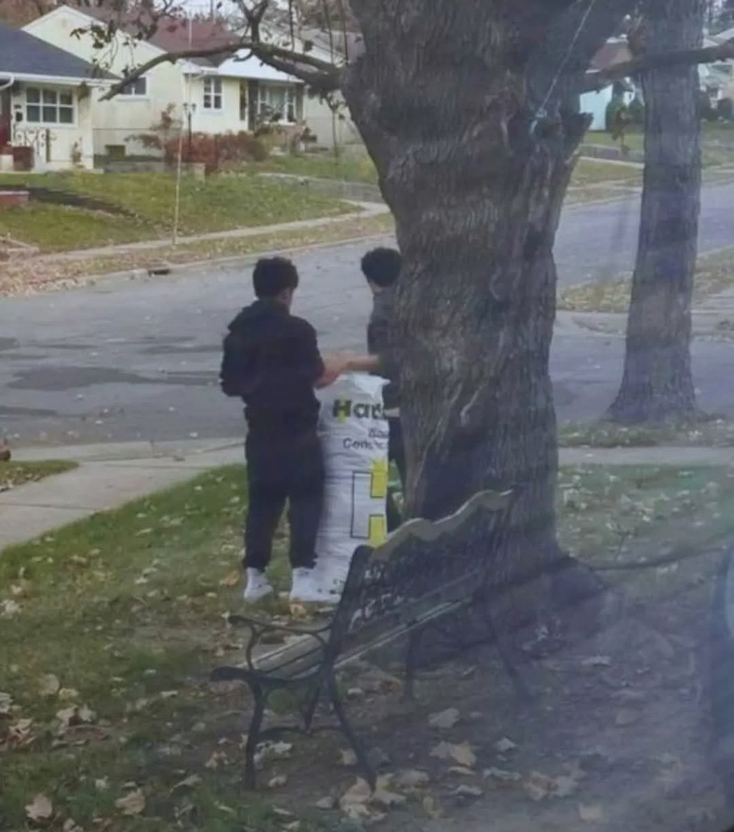 Kayakestable tweet media