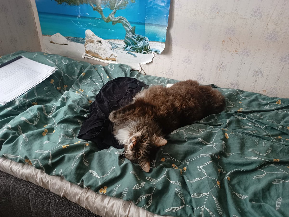 Pieta 🌦️ tweet media