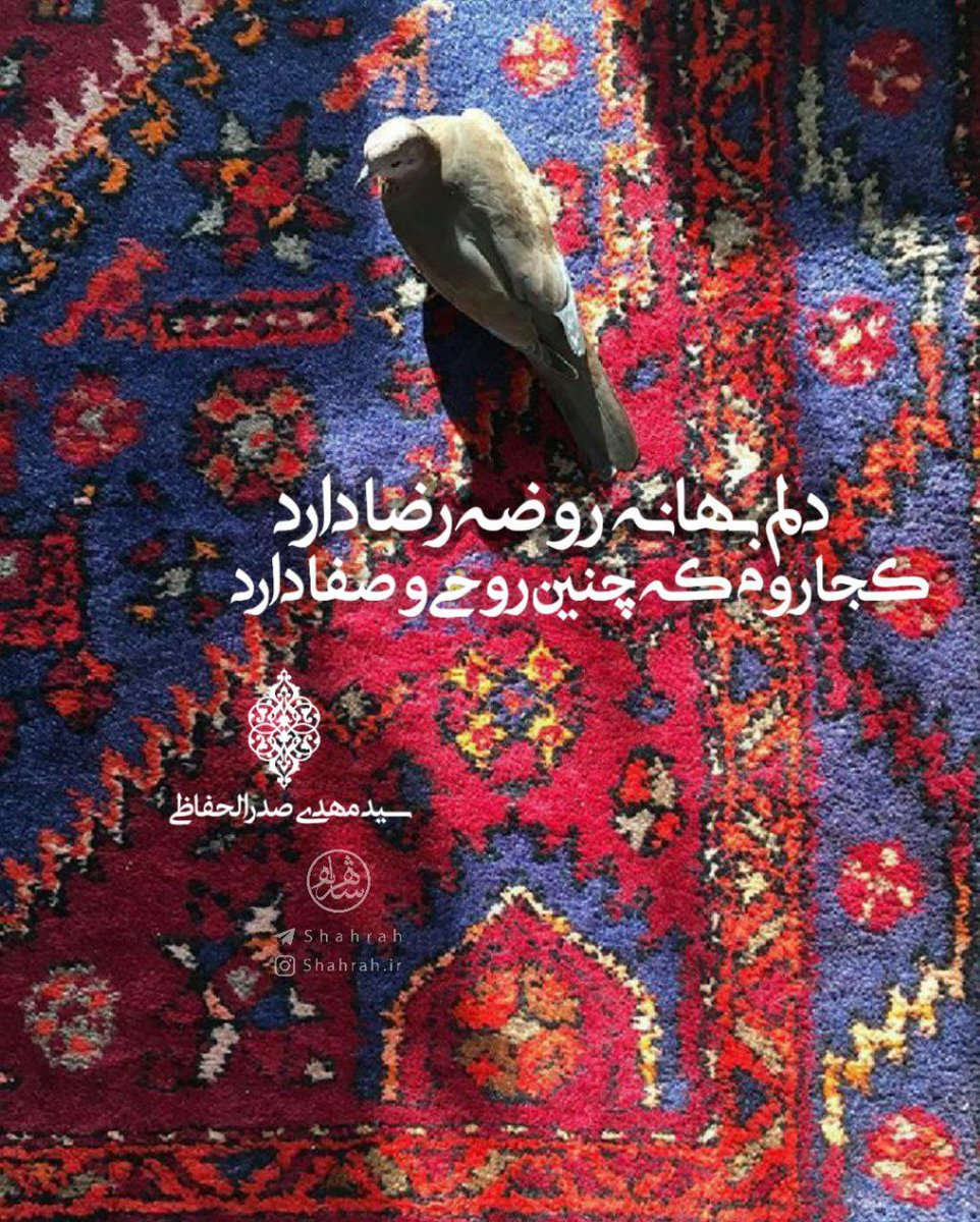 سيّد محسن صدر tweet media