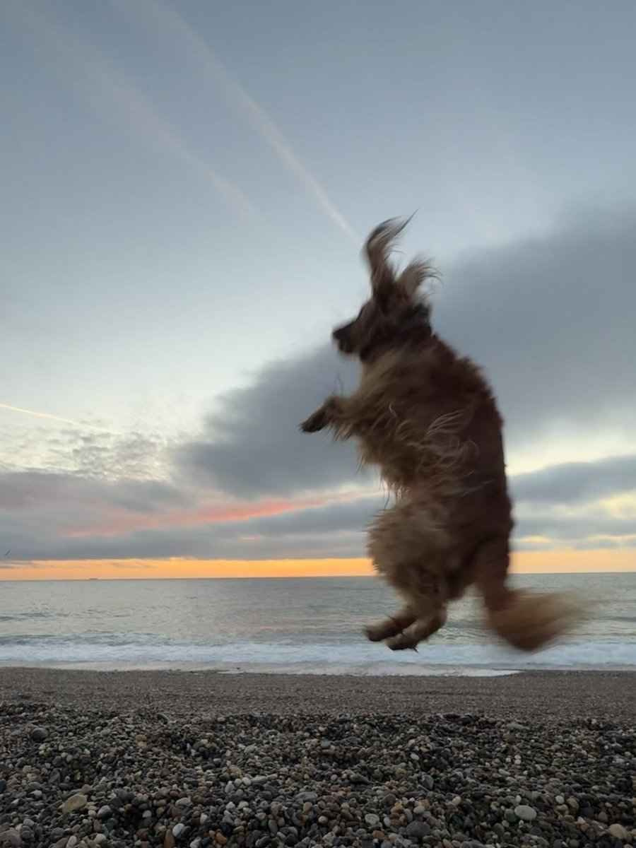 MarcD_Weegem's tweet image. Can we talk about how beautiful this morning was?
.
#ireland #stormhour #ThePhotoHour #sunrise #wicklow #dogsofx #greystones #irelandsancienteast #KeepDiscovering