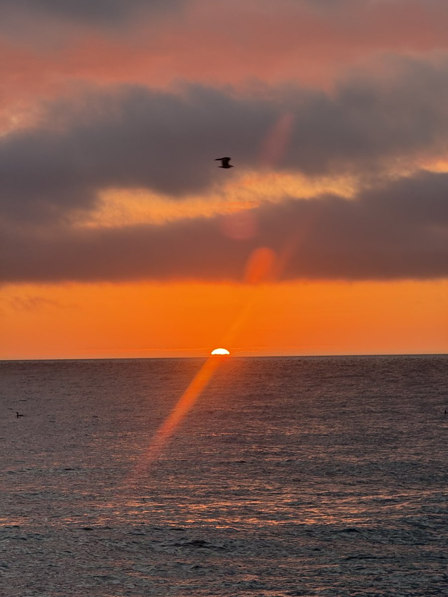 MarcD_Weegem's tweet image. Can we talk about how beautiful this morning was?
.
#ireland #stormhour #ThePhotoHour #sunrise #wicklow #dogsofx #greystones #irelandsancienteast #KeepDiscovering