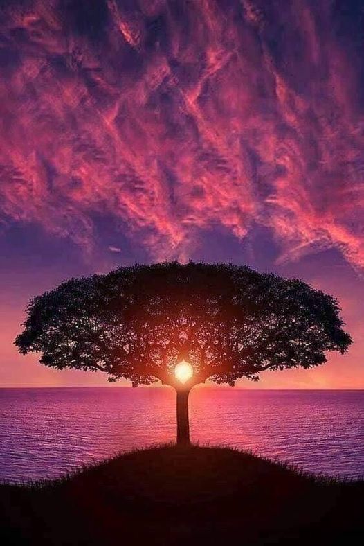 Real Space Tech tweet media