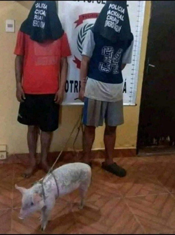 Victor Rodriguez tweet media