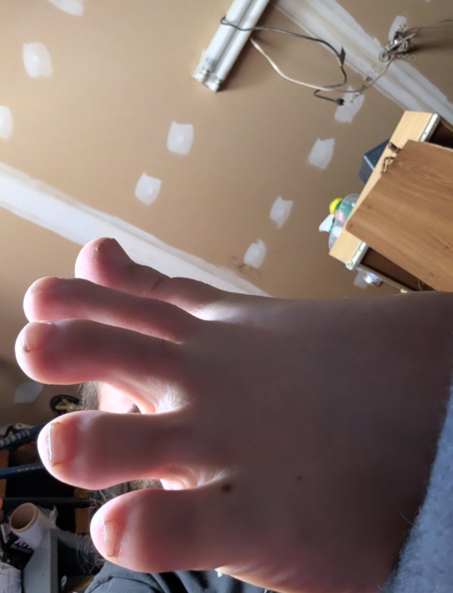 GamingBearFeet tweet media