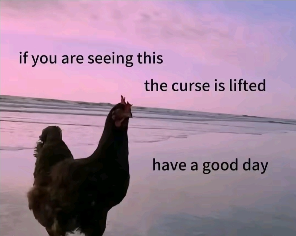 Synexdoche (@amor_fatti) on Twitter photo 