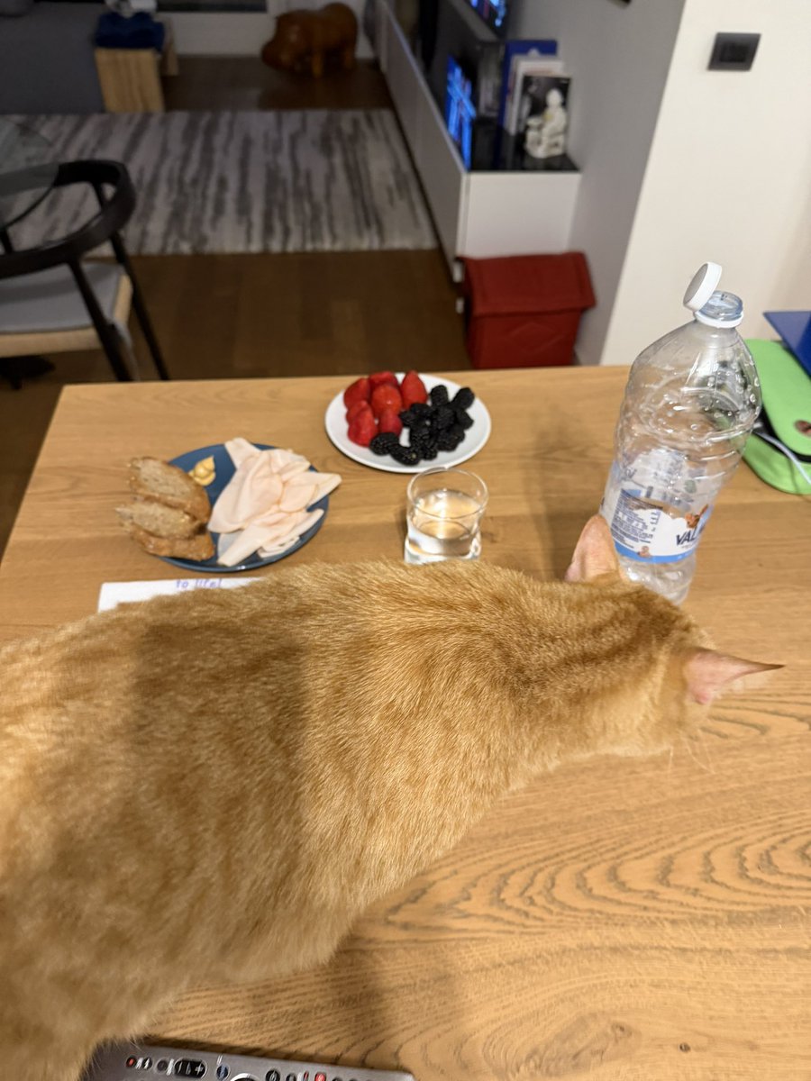 I rossini Bros. + l’Alessandro 🇪🇺🎾 tweet media