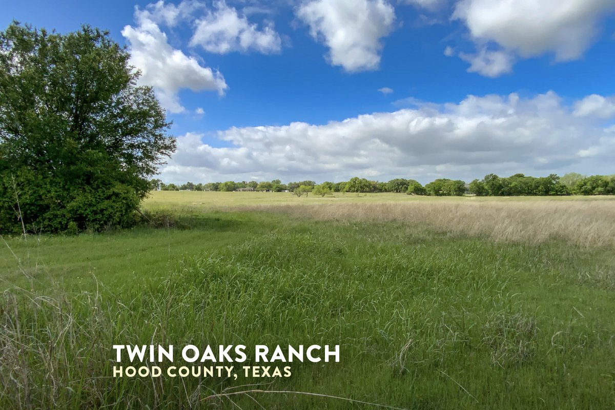 CSMlandbroker's tweet image. 💥New Listing!💥
Twin Oaks Ranch
29± acres
Hood Co, TX
csmandson.info/twinoaks

Layne Walker
214.244.6484

#csmandson #forsale #land #ranch #ranchforsale #realestateInvesting #texasranchforsale #texasranch #hunting #huntingranch #followers #hoodcounty #ruckercreek #glenrose