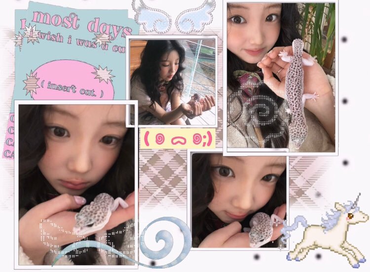 w★nhee tweet media