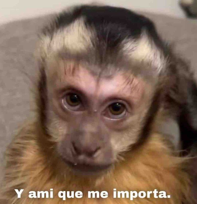 *me están contando algo que les paso*
- yo sin haber comido: