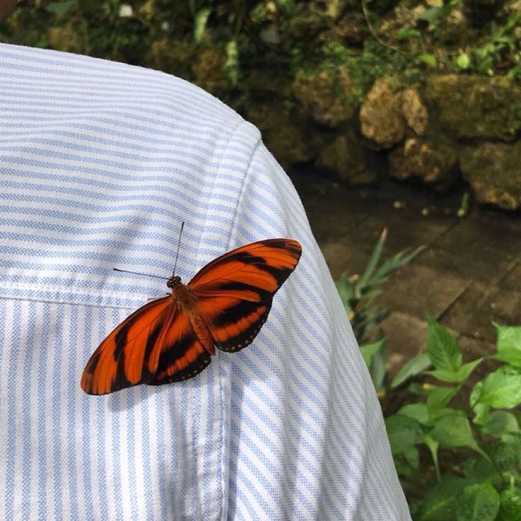 Diğerkâm tweet media