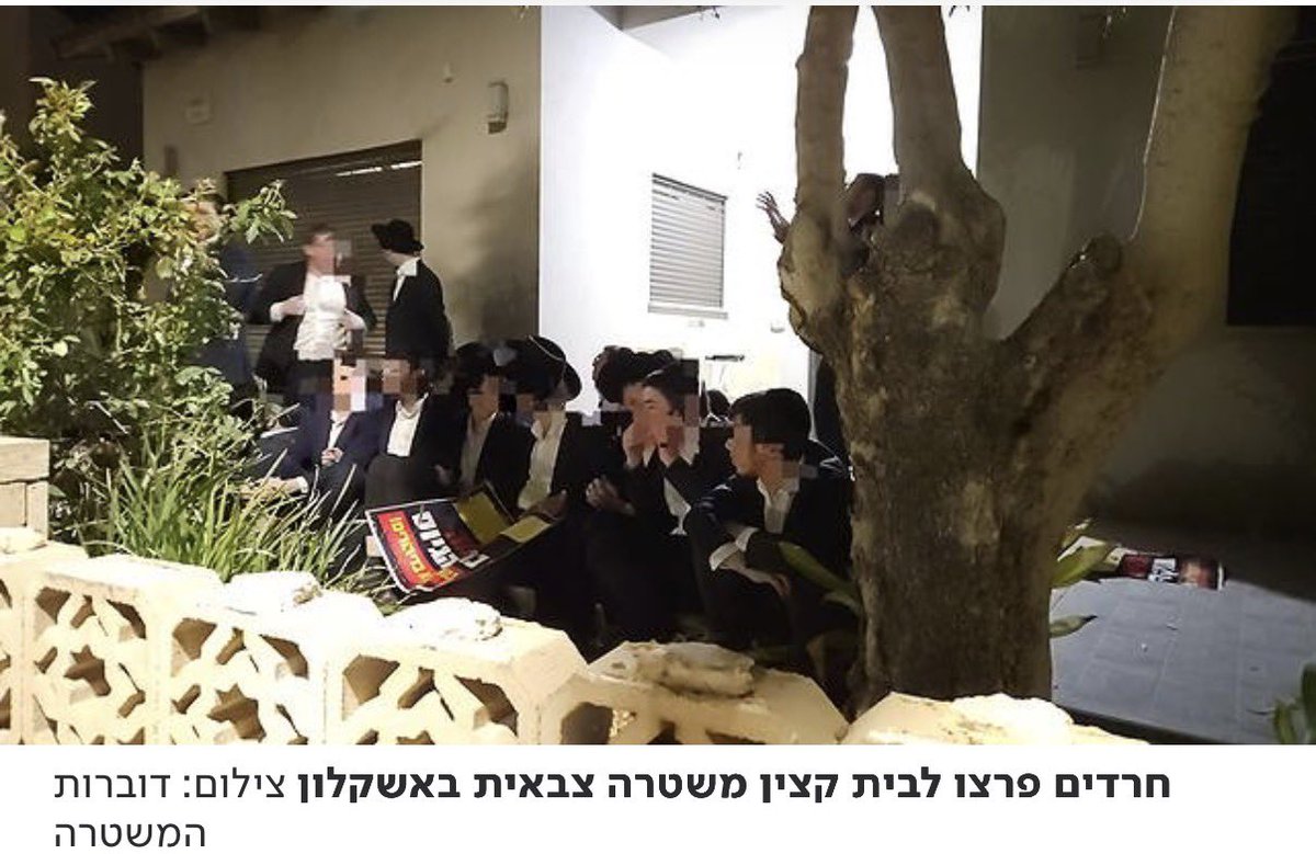יהודה ולד tweet media