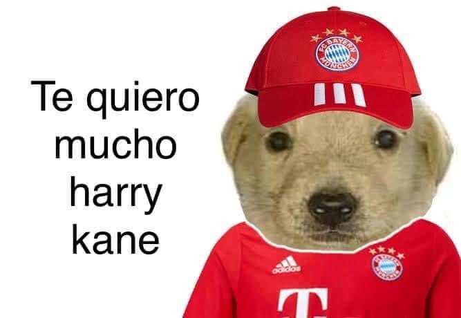Bayern Argento 🍻🧉🇦🇷 tweet media