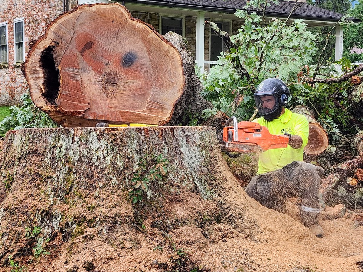 LifeOn__TheEdge's tweet image. Hard work becomes possible when the right crew works together. 🌳

Tree work demands skill, trust, and coordination.

A strong team makes difficult work look simple.

“Whatever you do, work at it with all your heart.” — Colossians 3:23

#ArboristLife #TreeCare