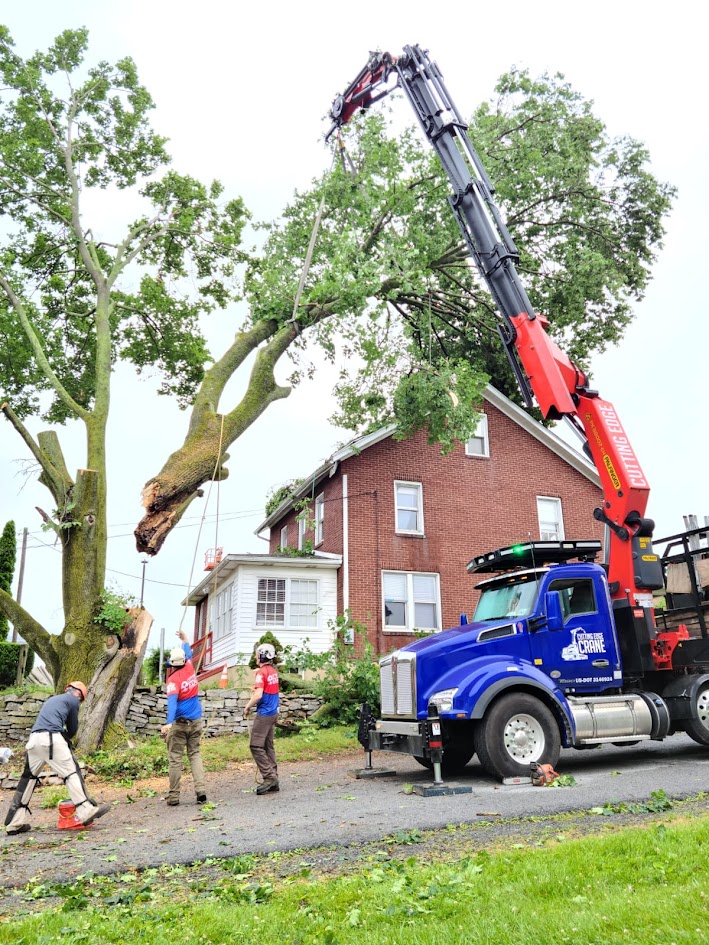 LifeOn__TheEdge's tweet image. Hard work becomes possible when the right crew works together. 🌳

Tree work demands skill, trust, and coordination.

A strong team makes difficult work look simple.

“Whatever you do, work at it with all your heart.” — Colossians 3:23

#ArboristLife #TreeCare