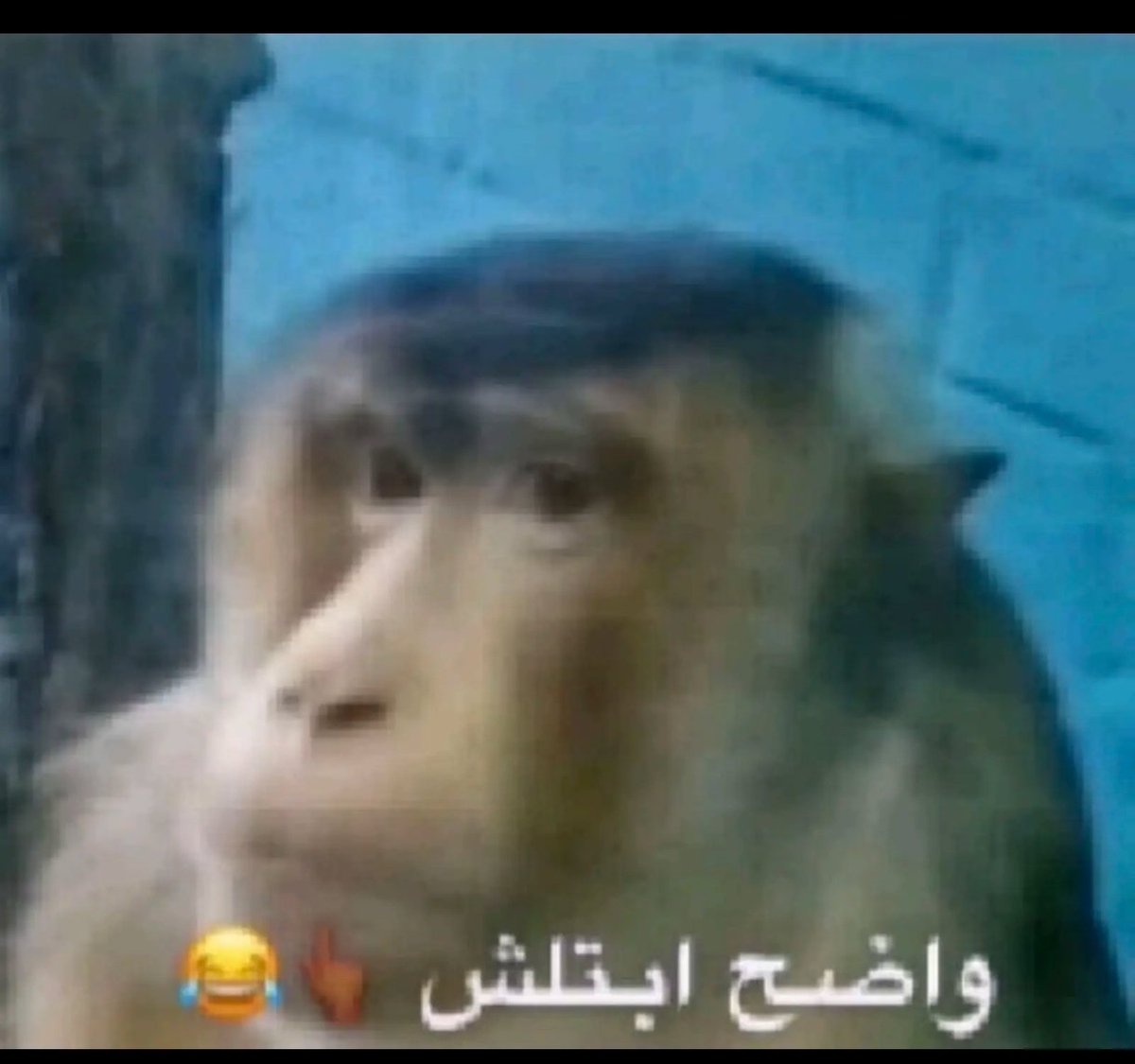 Med Abdallahi tweet media