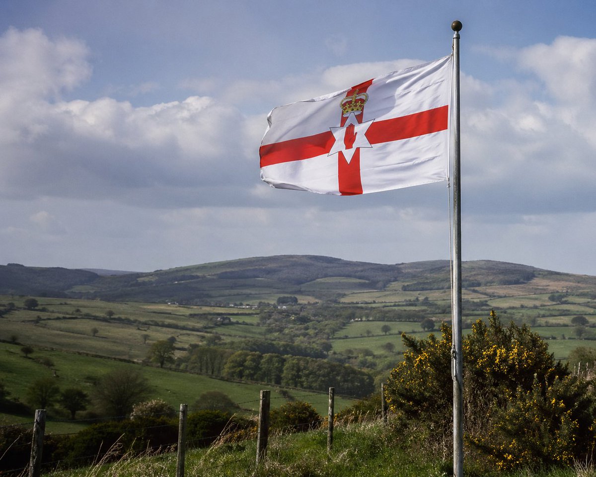 The English Remnant tweet media