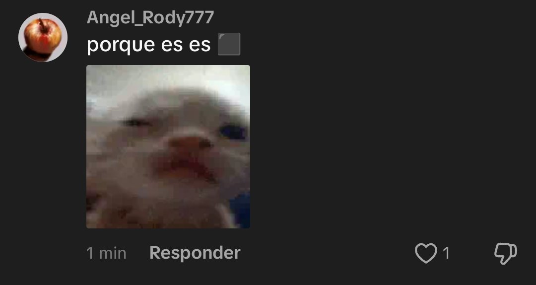 venus 💢 tweet media