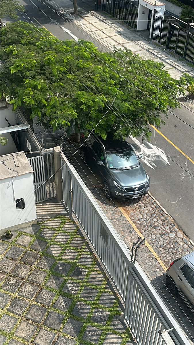 Divadesa 🇵🇪 tweet media