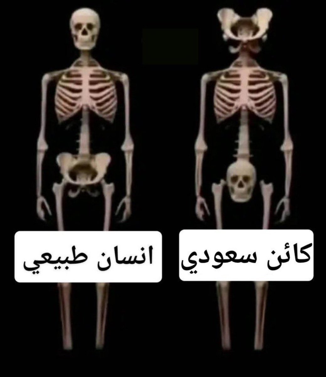 Majed Yafai מאג’ד יאפעי 🇺🇸 tweet media