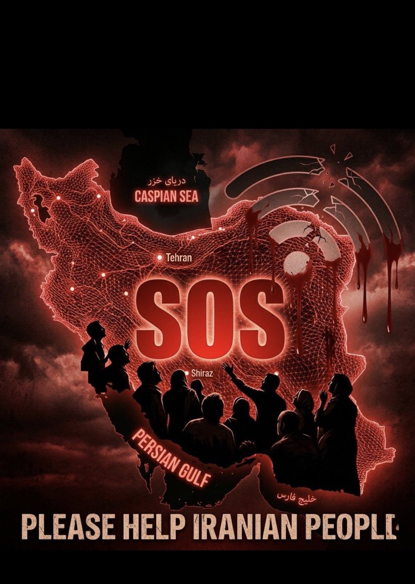 Shahnoosh tweet media