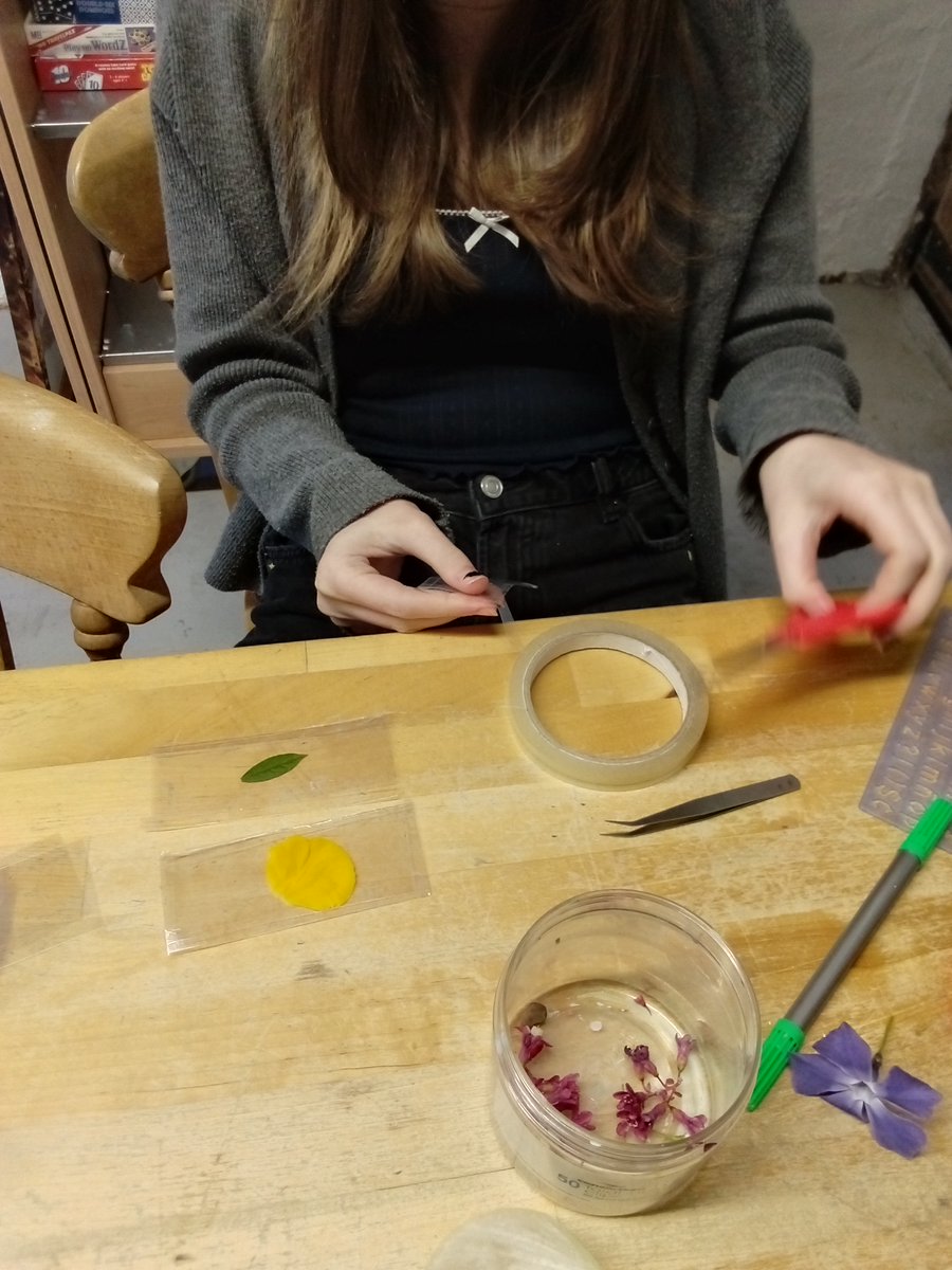 chadsupportteam's tweet photo. One of our Stage 3 students has been preparing her own slides as part of her Science work to look at under a light microscope, to see the detail in a leaf, a petal, even onion skin. Science isn’t just about big discoveries; it’s about curiosity and learning to truly see.🔬✨ https://t.co/iTQ8RvZP0A