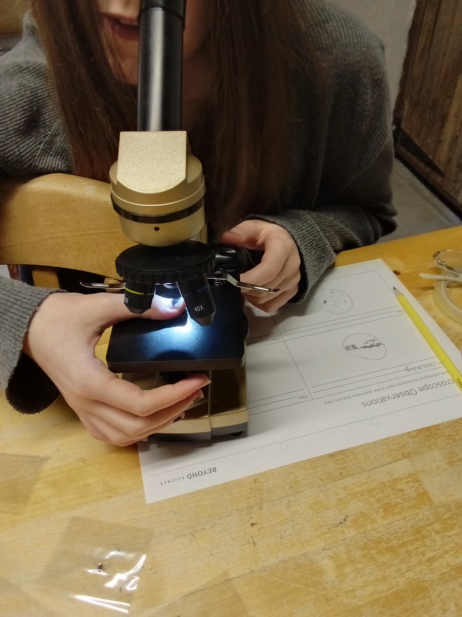 chadsupportteam's tweet photo. One of our Stage 3 students has been preparing her own slides as part of her Science work to look at under a light microscope, to see the detail in a leaf, a petal, even onion skin. Science isn’t just about big discoveries; it’s about curiosity and learning to truly see.🔬✨ https://t.co/iTQ8RvZP0A