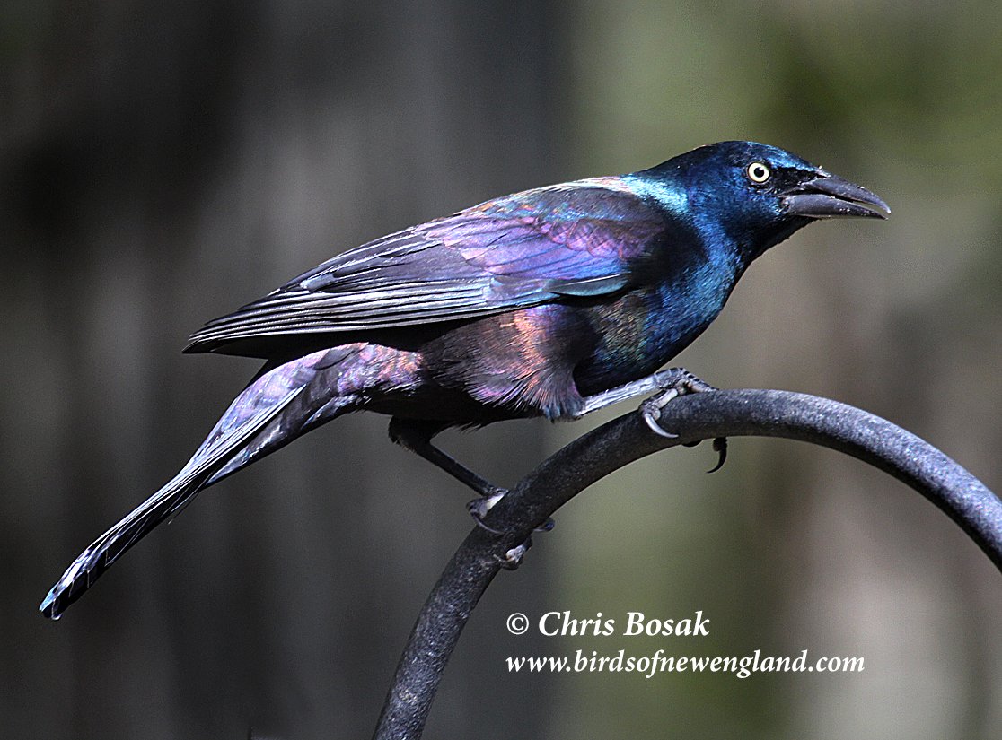 keysmashbandit tweet media