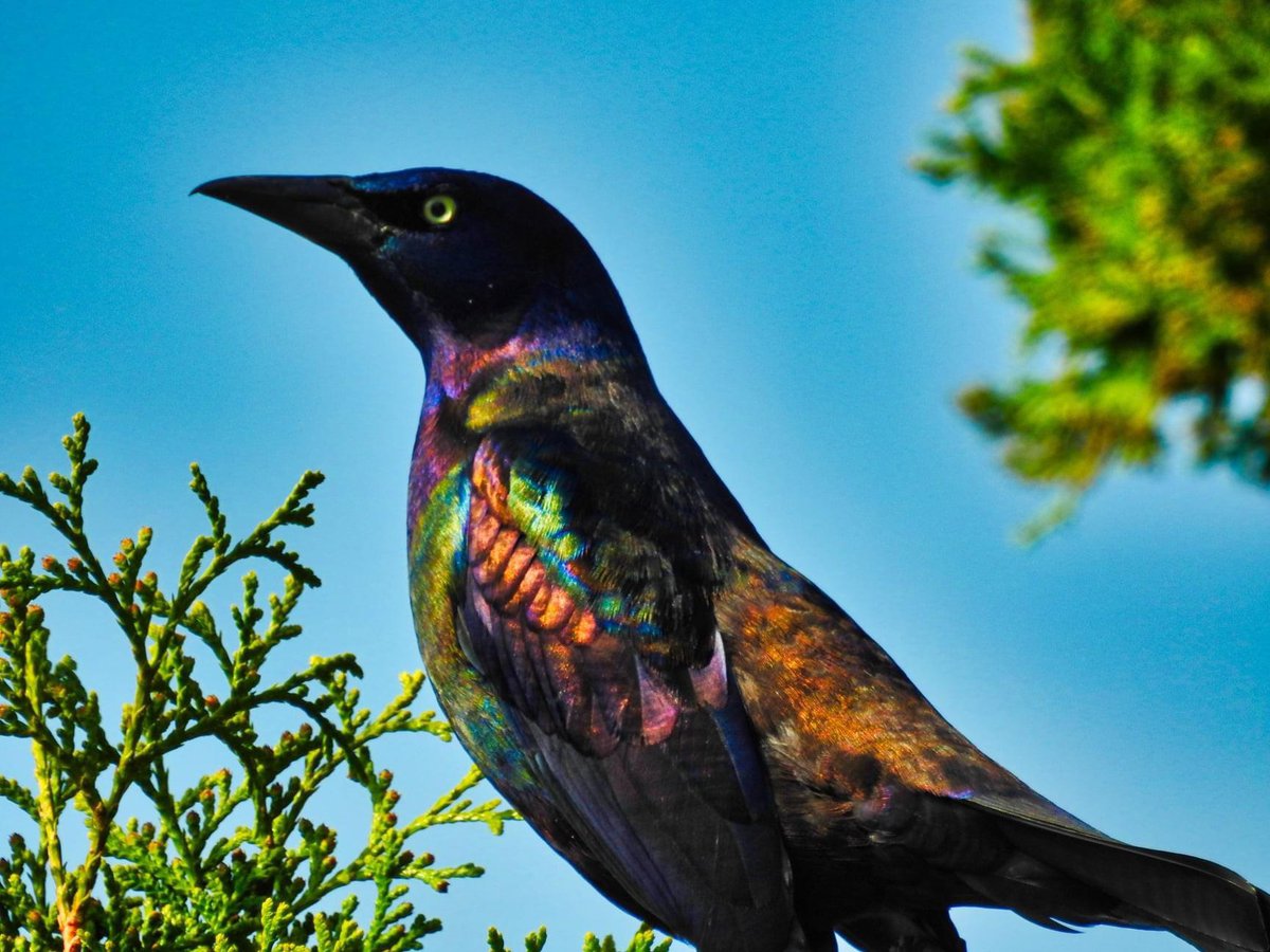 keysmashbandit tweet media