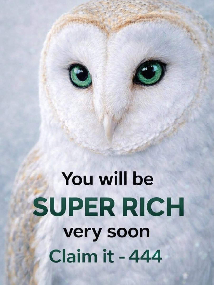 Law Of Attraction Coach tweet media