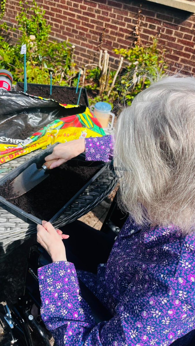 CedarCourtHome's tweet image. Yesterday we planted some tomatoes. We are making the most of the lovely weather and very much looking forward to tasting the rewards of our hard work #Tomatoes #Gardening #GreenFingers #Salad #GrowingForWellbeing