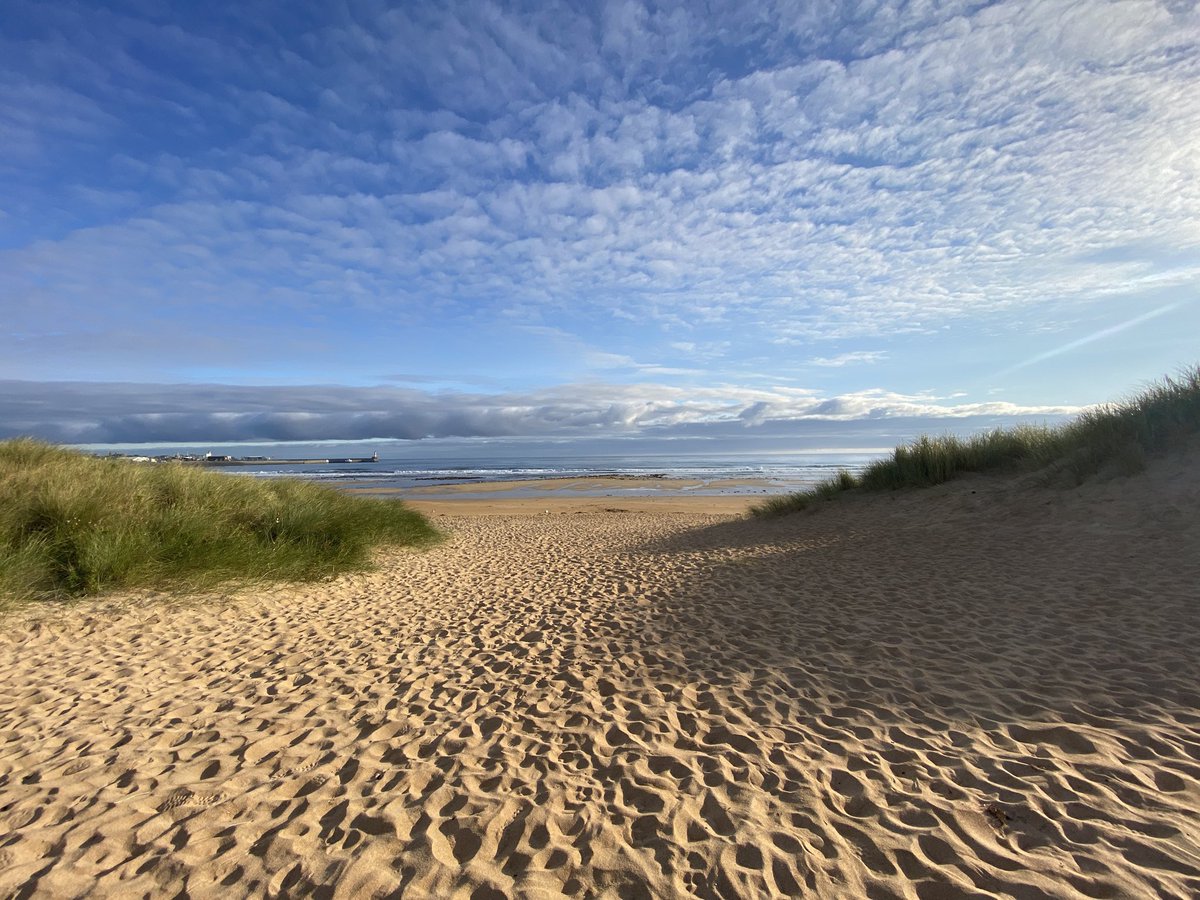 AilishSinclair's tweet image. Over the golden sands we run, and into the deep blue sea. So cold! #Scotland