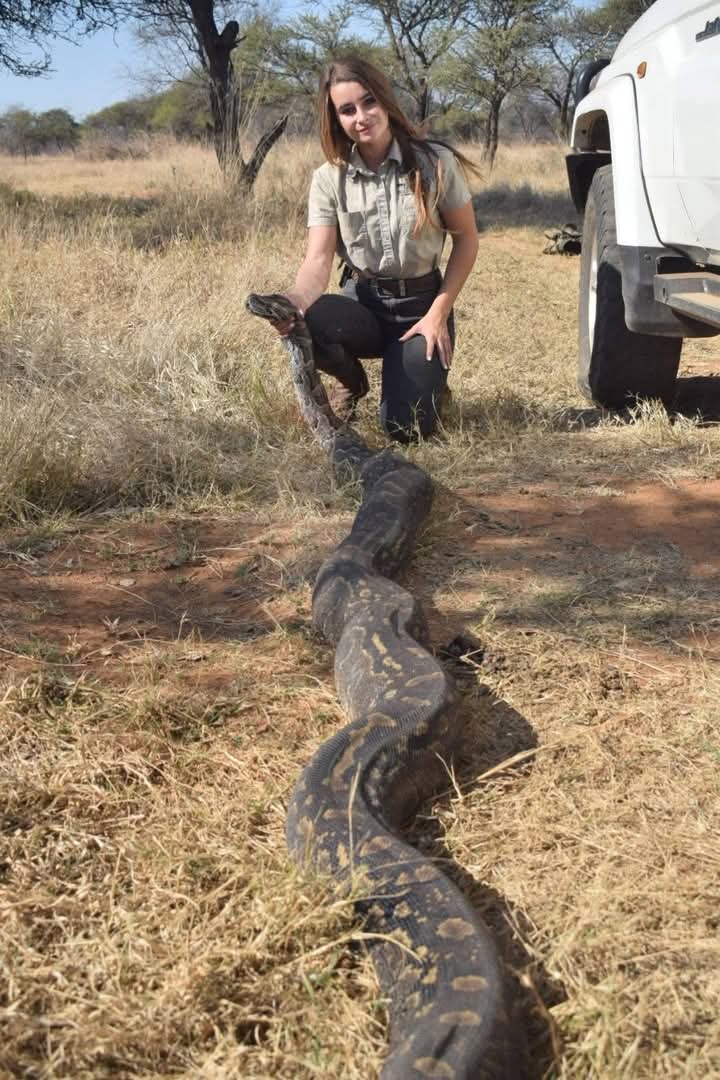 Polokwane Weekly tweet media