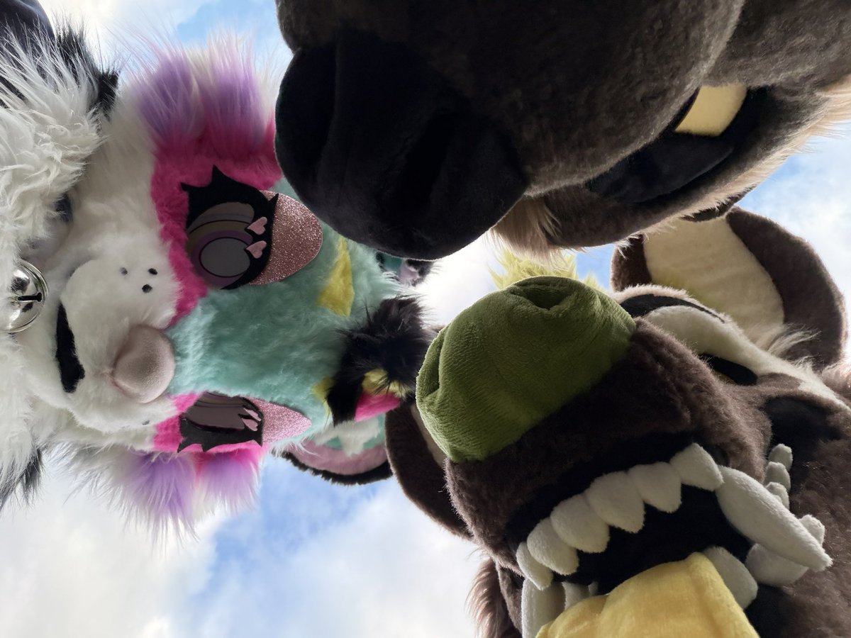 Parcha 💦🔜 Furlandia tweet media
