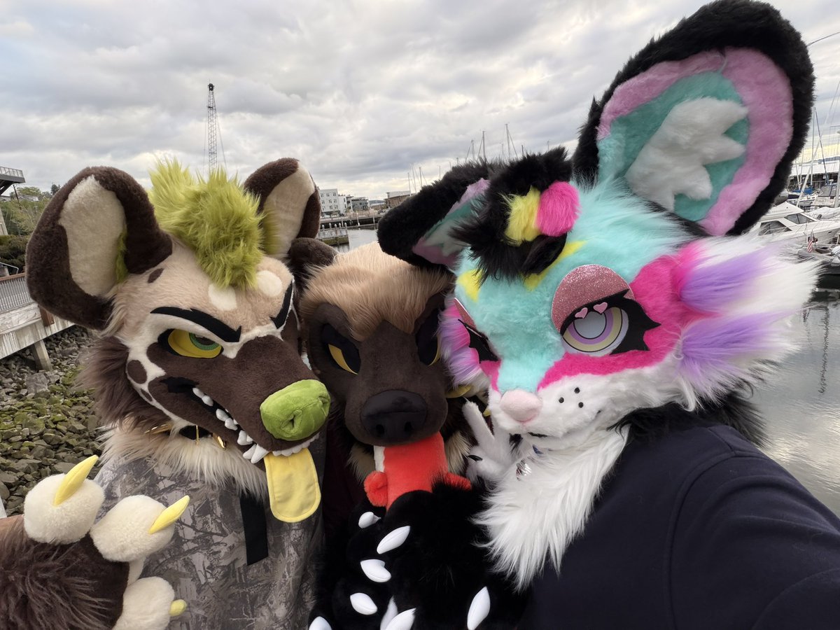 Parcha 💦🔜 Furlandia tweet media