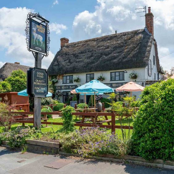 Britain's Lost & Living Pubs tweet media
