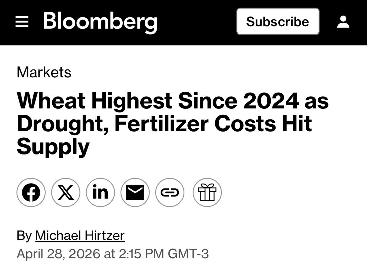 Otavio (Tavi) Costa tweet media