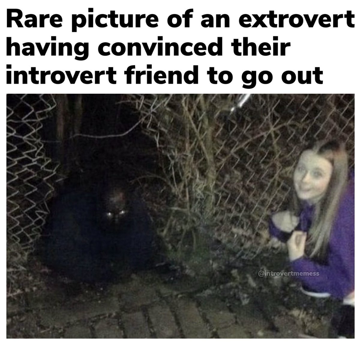 Introvert Problems tweet media