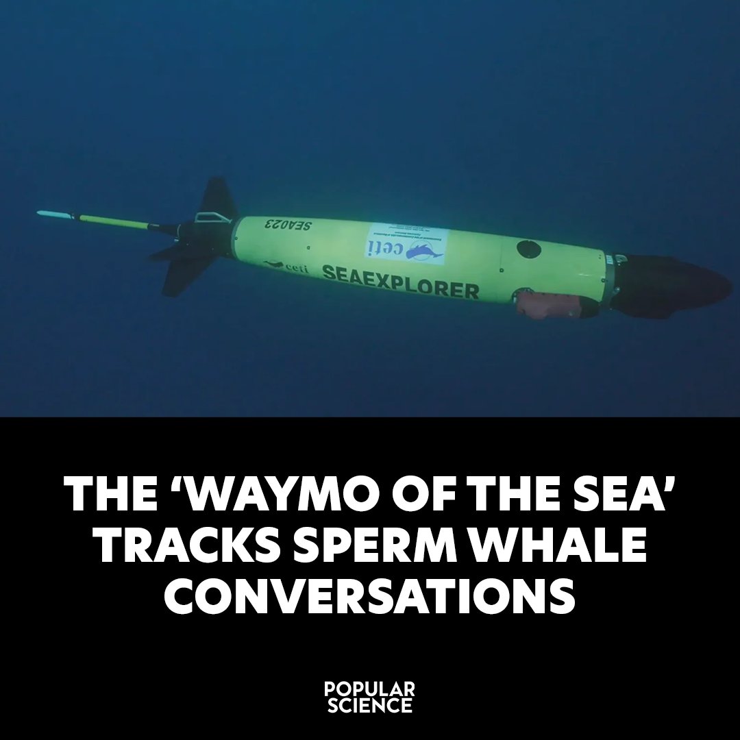 Popular Science tweet media