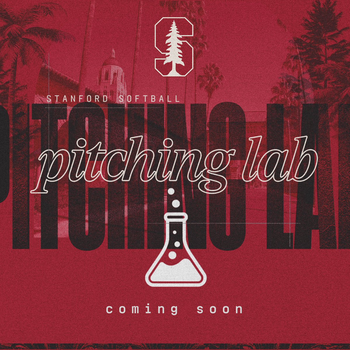 saragroe's tweet photo. Campers, stay tuned👀🥎🧪 https://t.co/r05JQ5FPWb