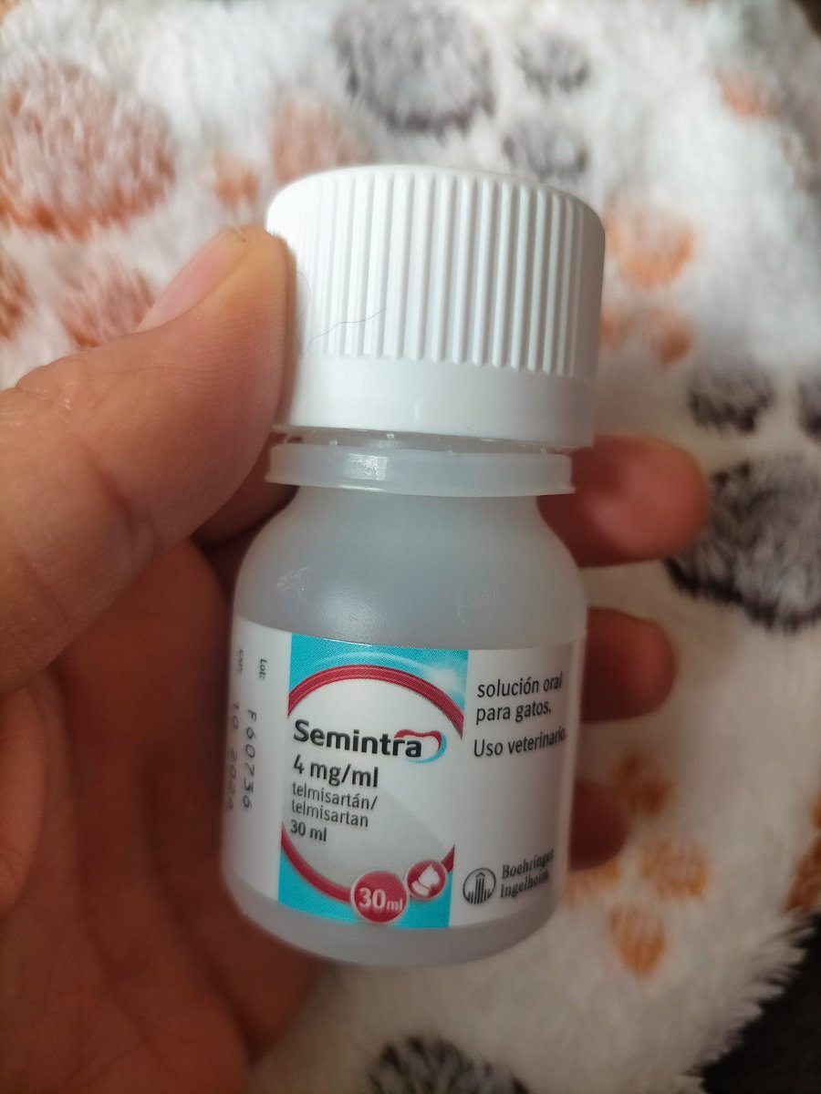 silvia mensegar tweet media