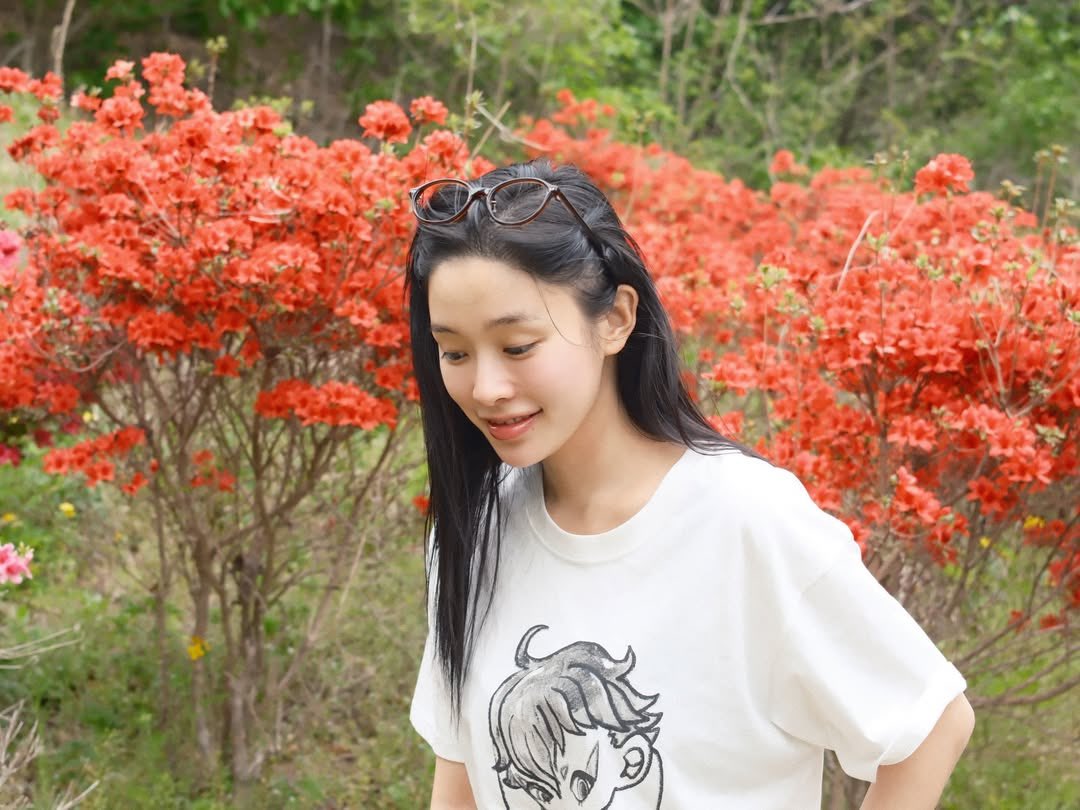 The French InSomnia tweet media