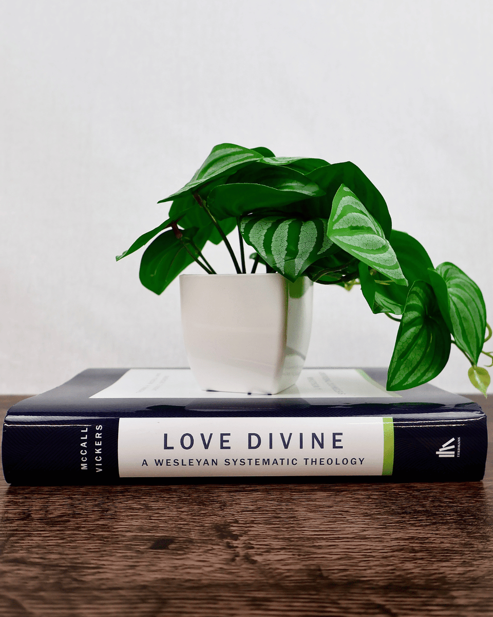 eerdmansbooks's tweet photo. Available now! 🎉 From start to finish, Love Divine makes vital connections between #theology, #ministry, and a Christian life of praise and service. ❤️ Check it out! https://t.co/4F5V3DZrXp https://t.co/4GpnH96GWj
