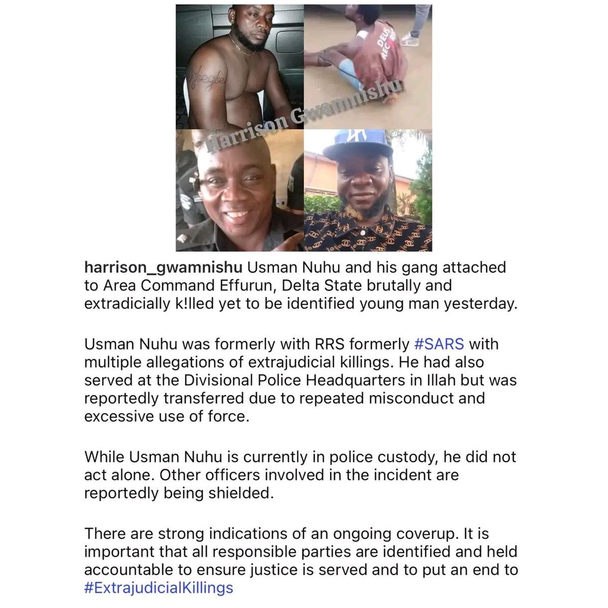 Somto Okonkwo tweet media