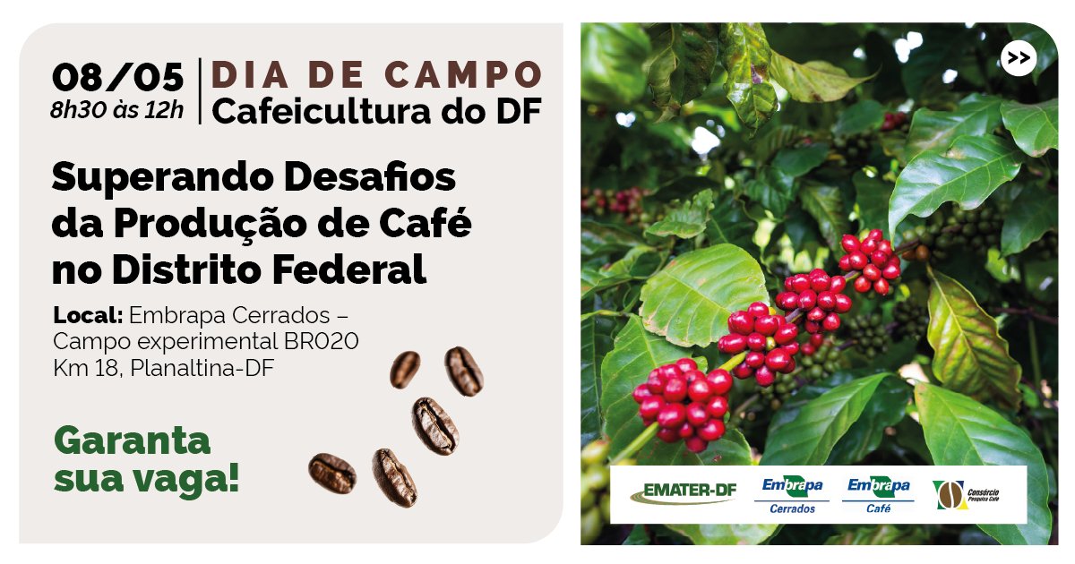 ematerdf's tweet photo. 🌱 Quer participar do Dia de Campo e aprender soluções para fortalecer sua produção de café?

Faça sua inscrição aqui: https://t.co/73ShIpZMhQ

📢 Garanta sua vaga!

Não fique de fora dessa oportunidade!

#EmaterDF #DiaDeCampo #AgroDF #AgriculturaFamiliar https://t.co/JP7HE9c2G8