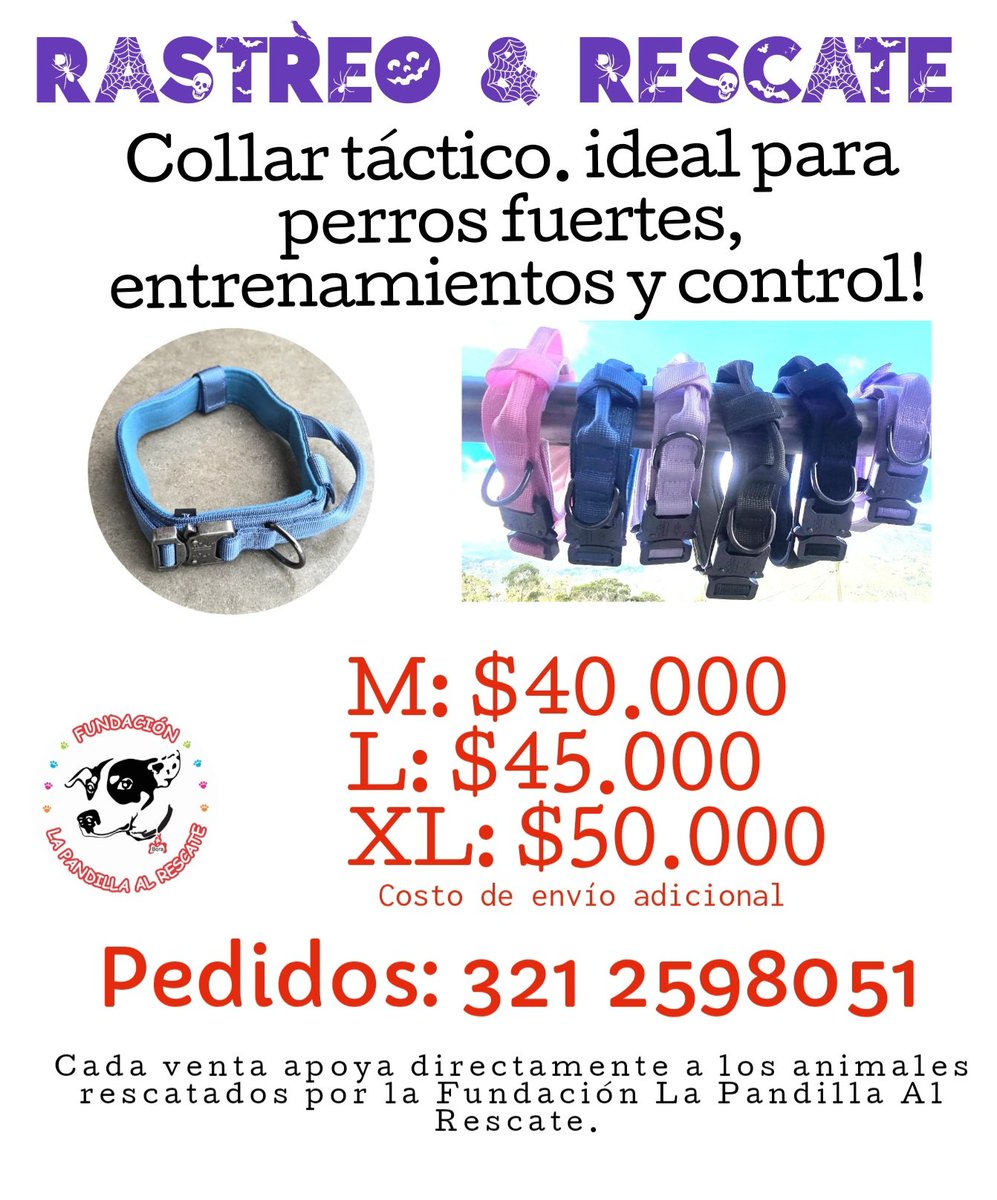 Marce Tabares 🐶 tweet media